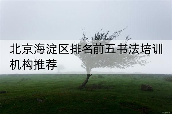 北京海淀区排名前五书法培训机构推荐